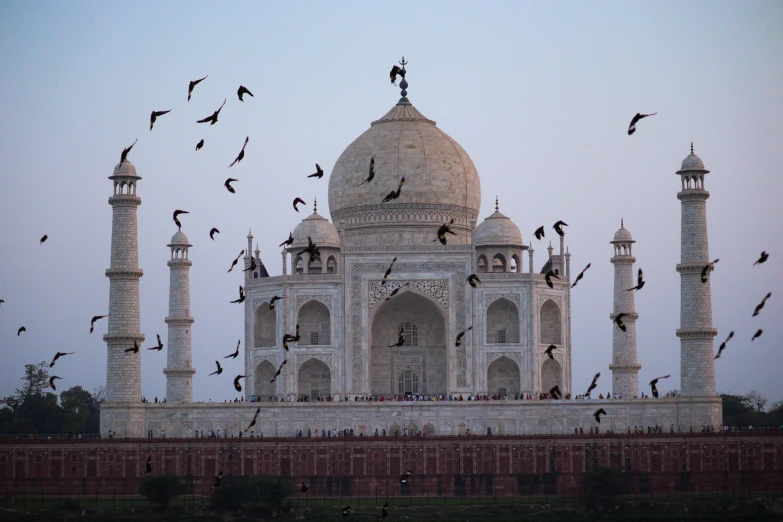 a large white mosque surrounded by birds flying around