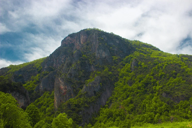 the mountain is covered in lush green trees