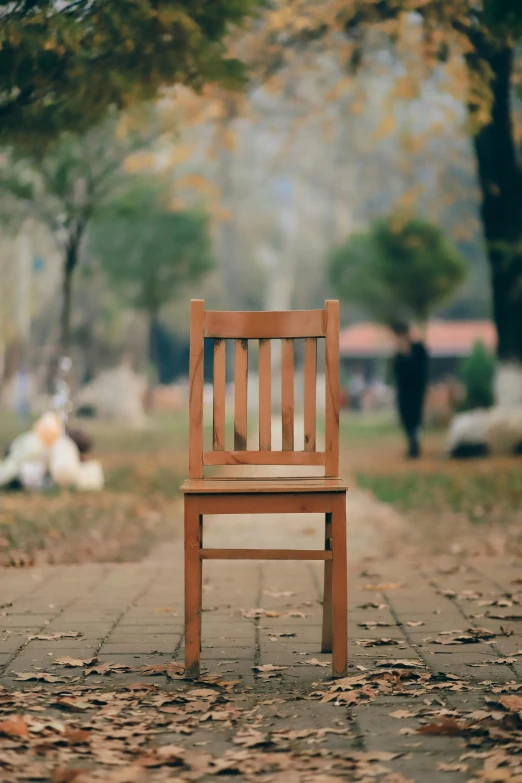 a wooden chair sitting in the middle of a leaf covered sidewalk