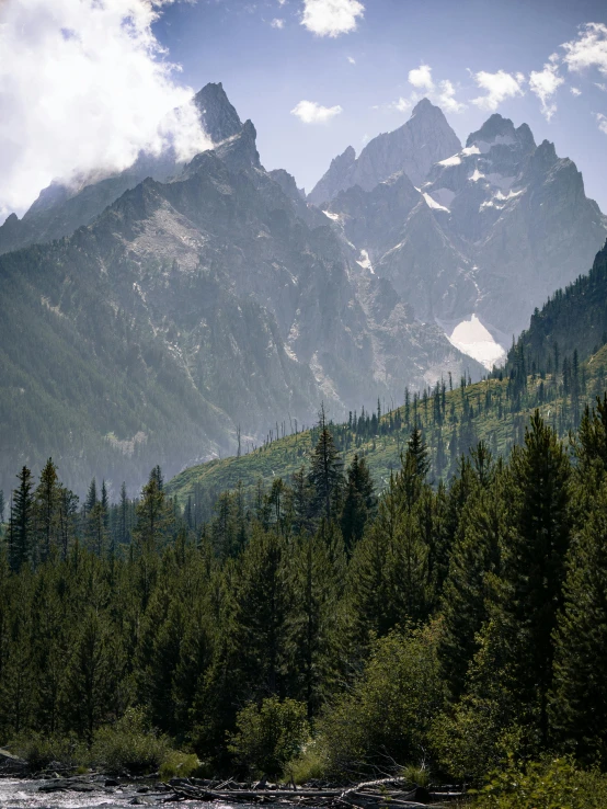 a mountain stream runs below a very steep hillside