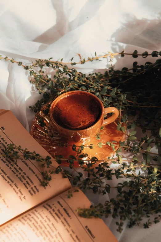 an open book and a brown cup sitting next to a plant