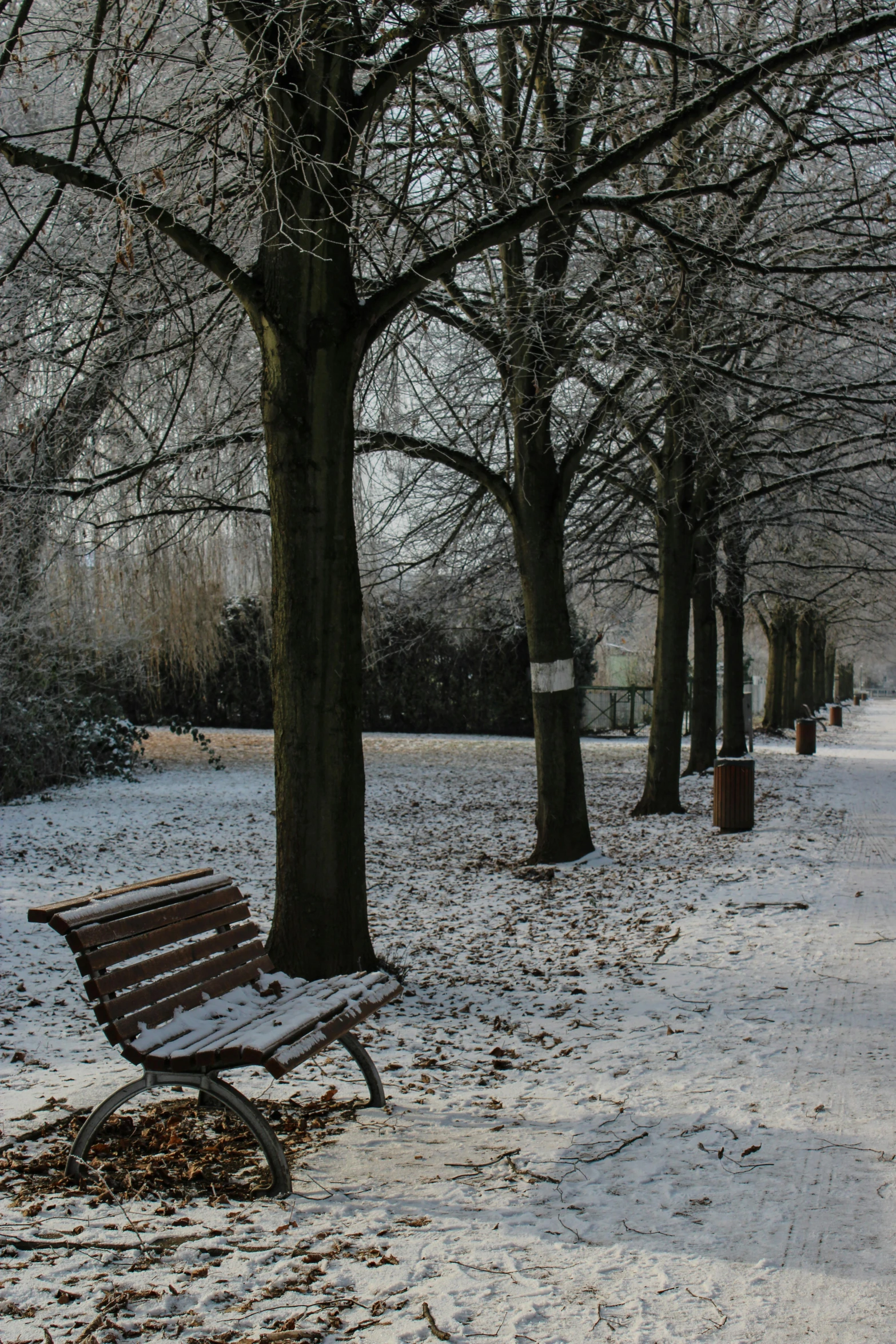 a bench on a snowy sidewalk in a park