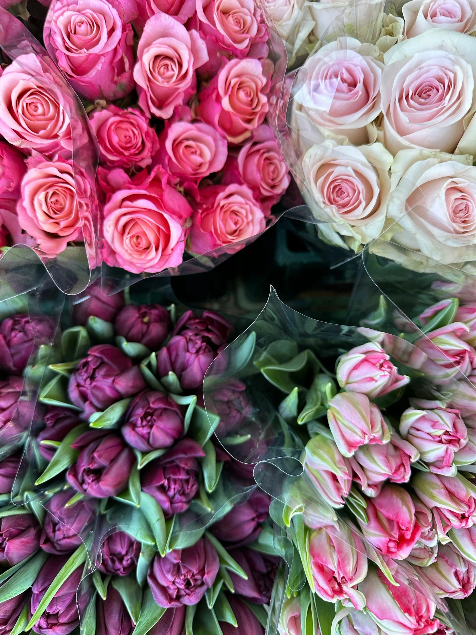 roses for sale are arranged in multiple patterns