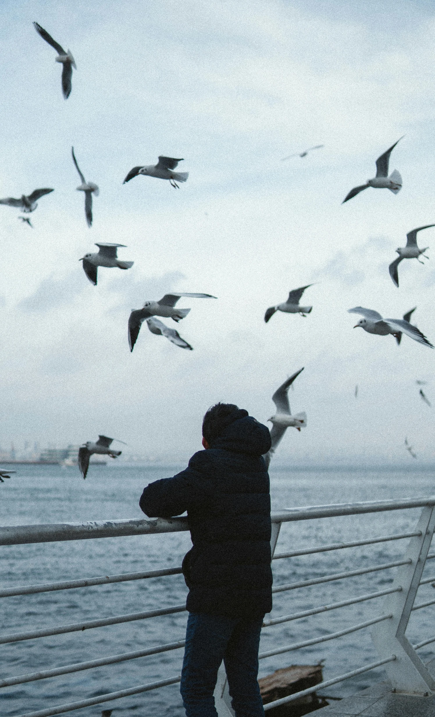 the bird is flying near the man and the water