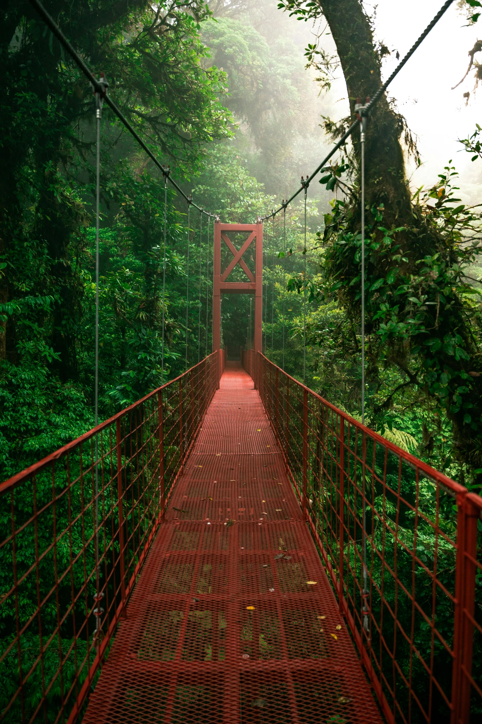 a long red suspension bridge in the middle of a forest