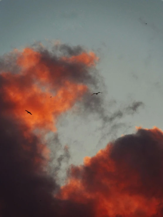 a pair of birds flying under an orange and pink sky