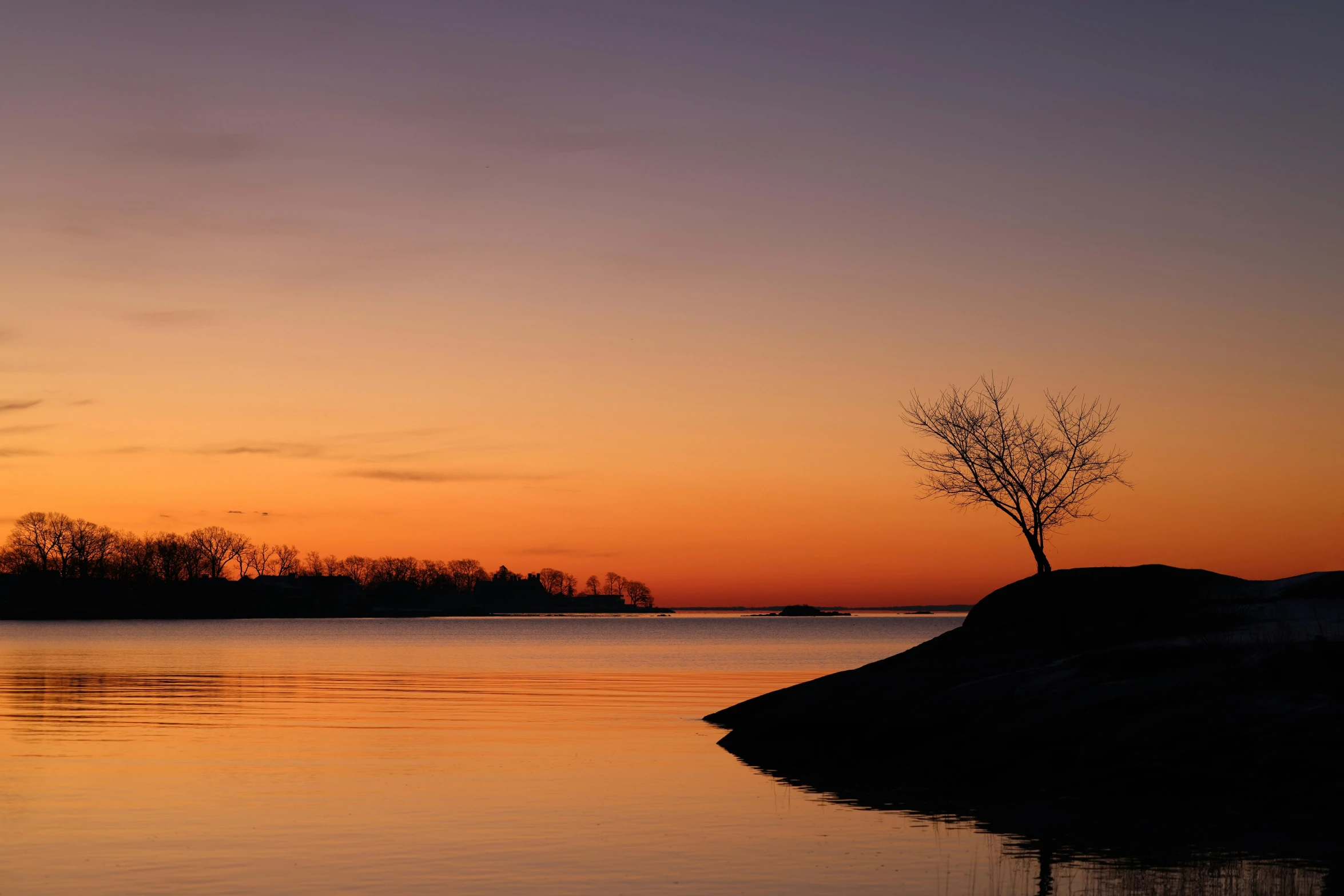 a lone tree sitting on the shore at dusk