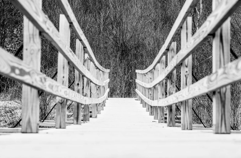 a wooden bridge over a river and in the distance there is a plant