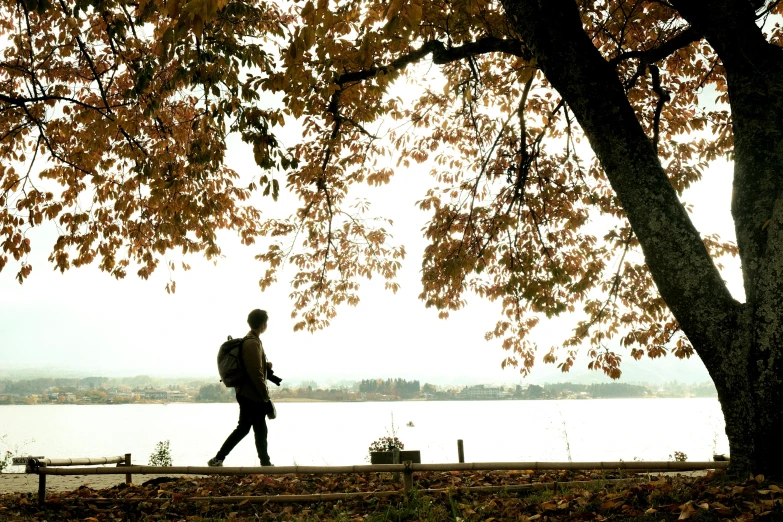 a person walking along the river by some trees