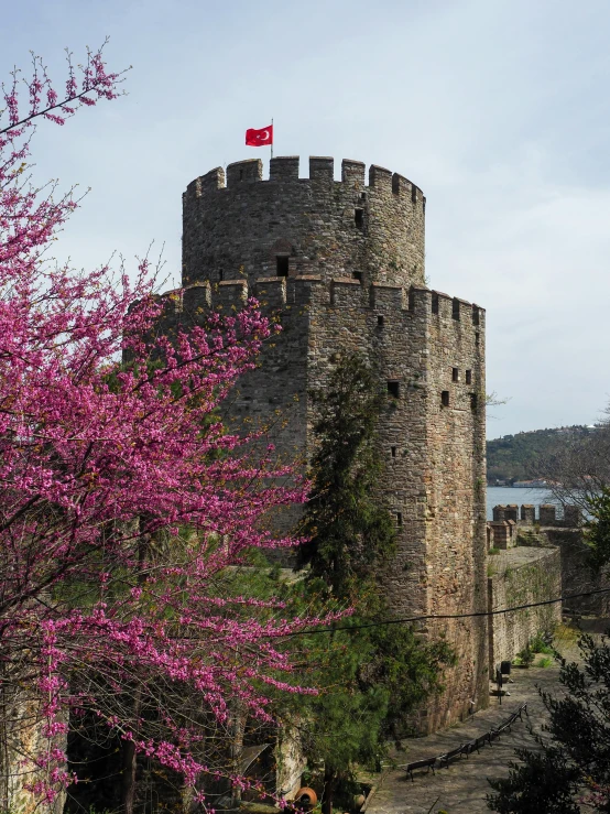 a brick castle with a red flag on top is seen through some trees