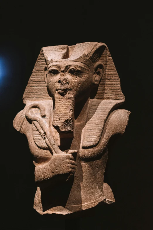 the head and neck of an ancient pharaoh