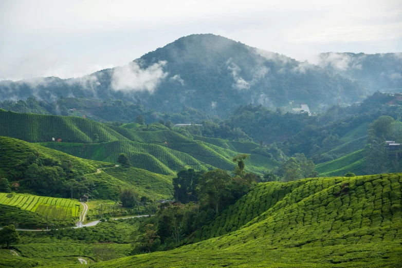 a scenic view of hills with a few buildings at the top