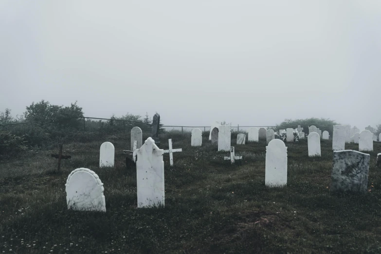 many graves in an cemetery on a cloudy day