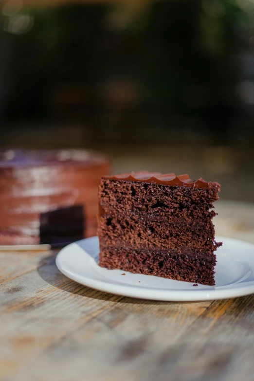 a close up of a slice of cake on a plate