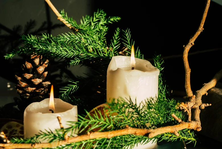 three lit candles surrounded by nches and christmas decorations