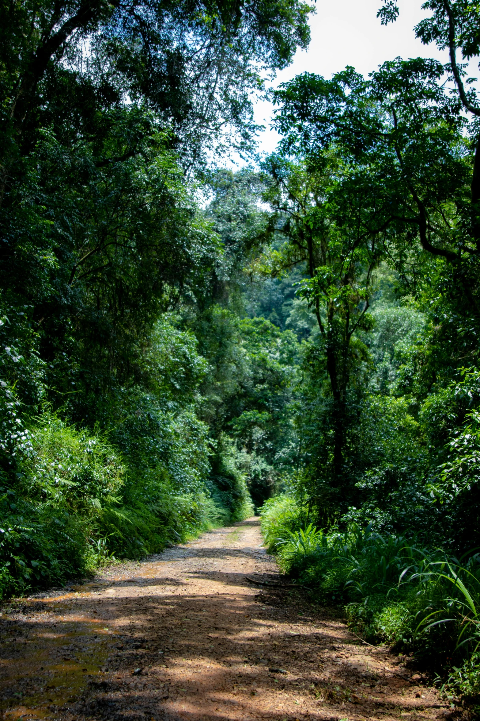 the road is very dirty, but it doesn't have much water