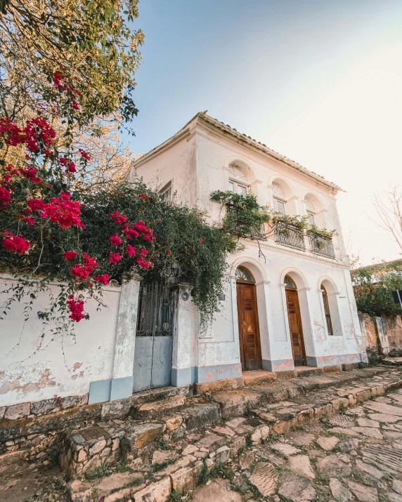 a white building with a plant and trees on top