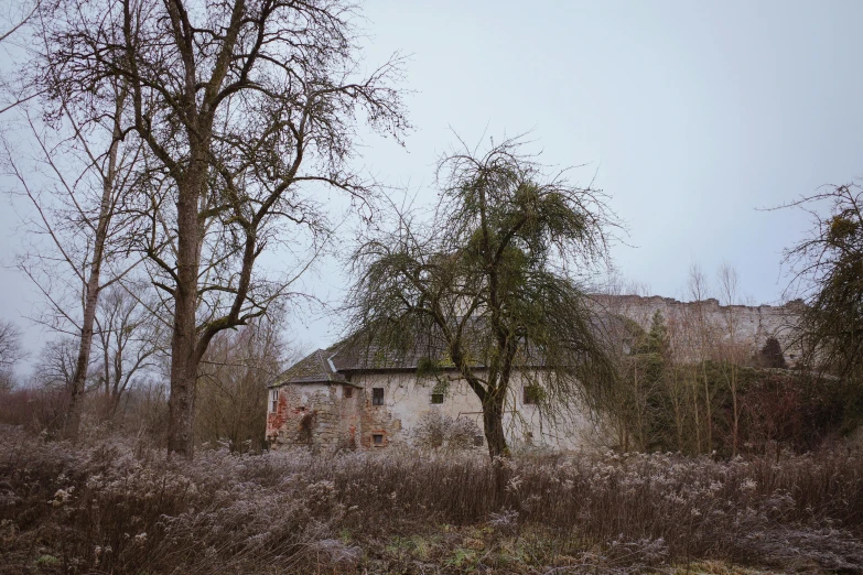 an old house sits alone among the trees