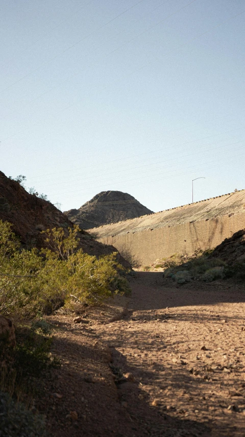 some dirt plants and bushes on a hill