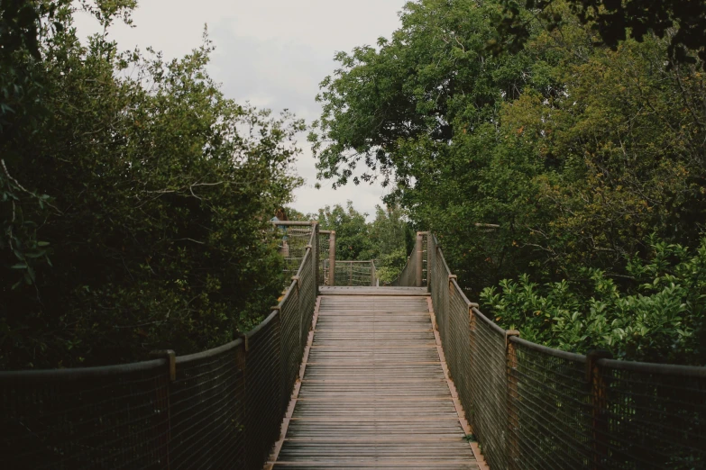 the bridge is made out of wood and iron