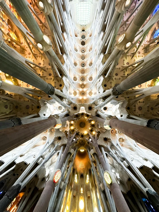 an overhead view of the inside of a cathedral with vaulted ceilings and wooden flooring