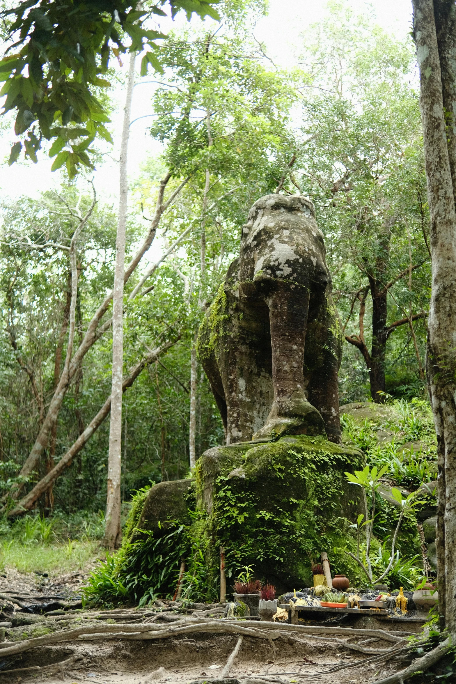 a statue in the forest covered in ivys