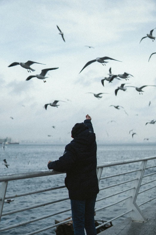 a person is standing by the sea staring at birds