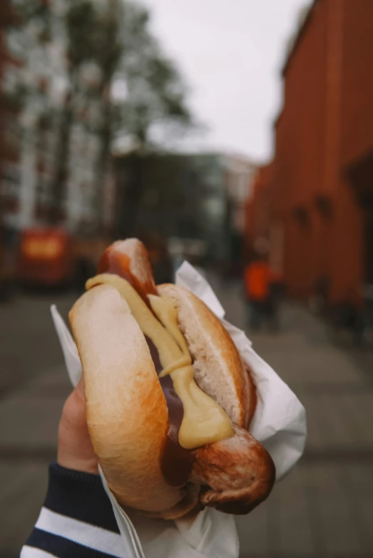 a person holding a  dog on a bun