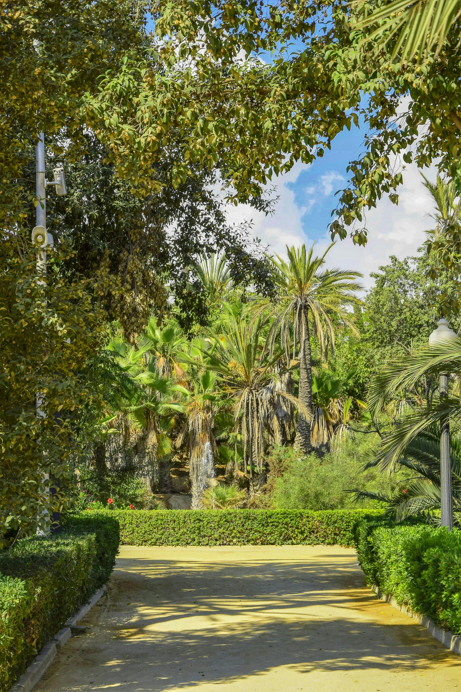 a park has trees, shrubs, and a street light in the foreground