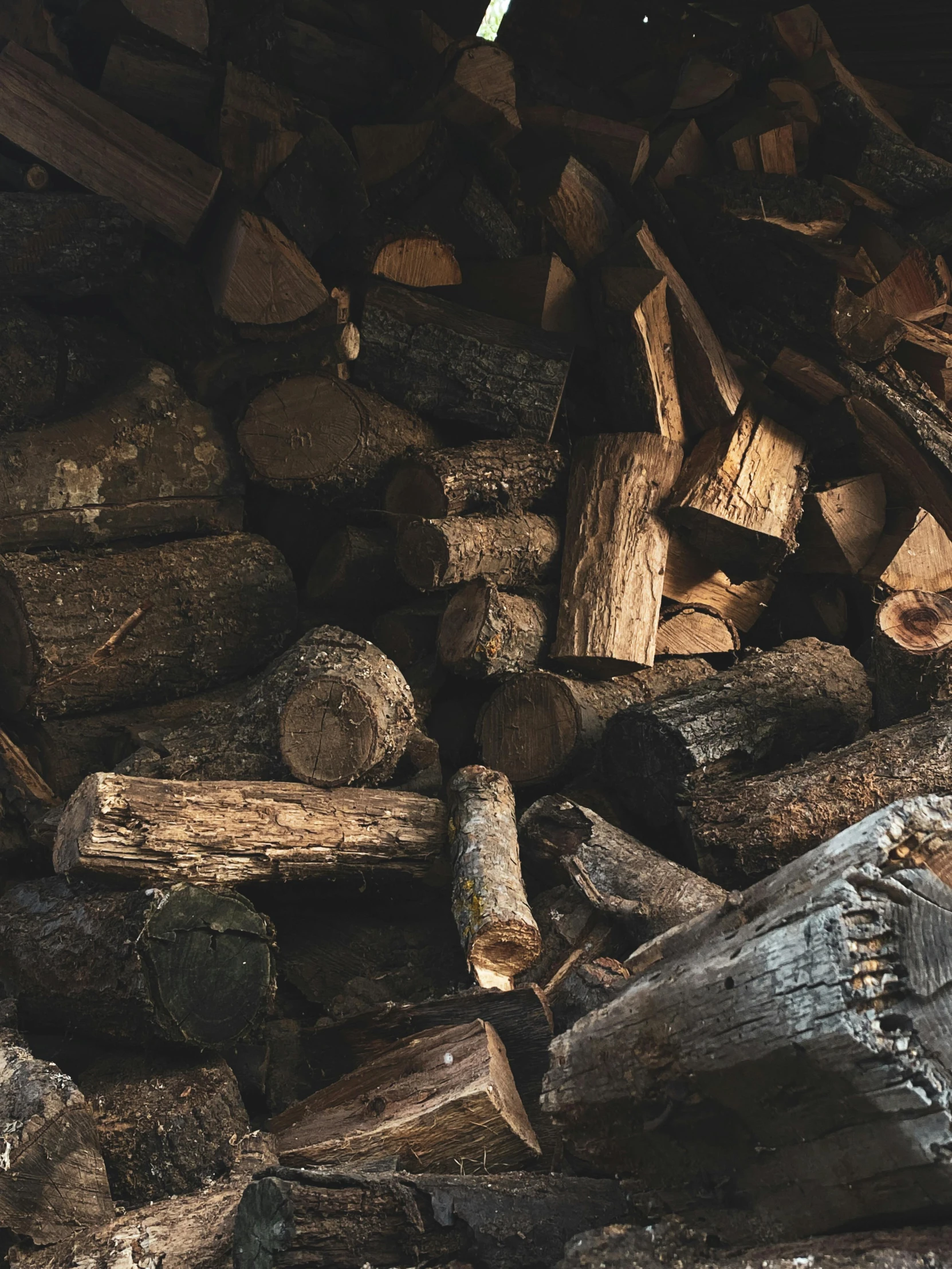 chopped wood in various piles and different lengths