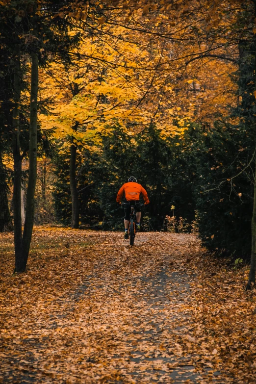 the cyclist is using his bicycle to go down the path