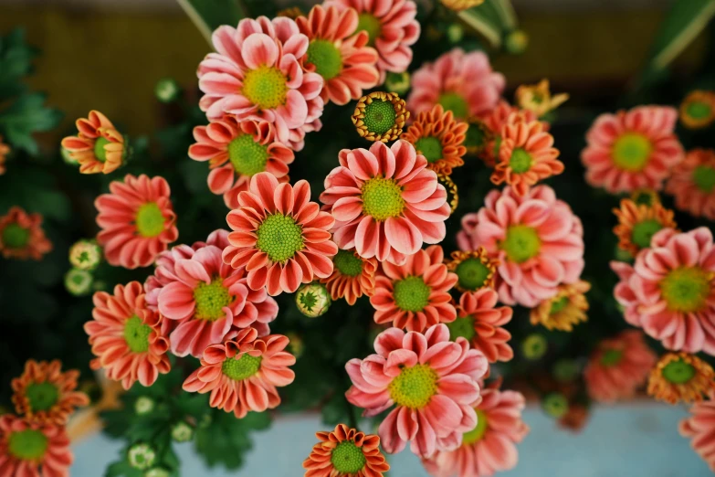 flowers and foliage are displayed together in a large vase