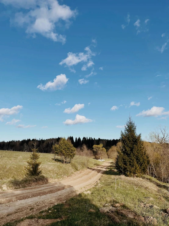 a dirt road near some woods and trees