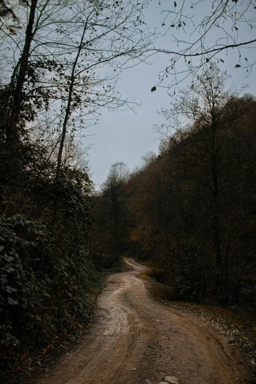 a dirt road in the middle of some trees