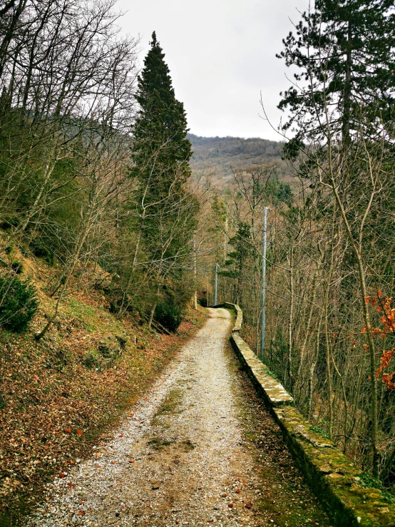 a road going down the side of a hill surrounded by trees