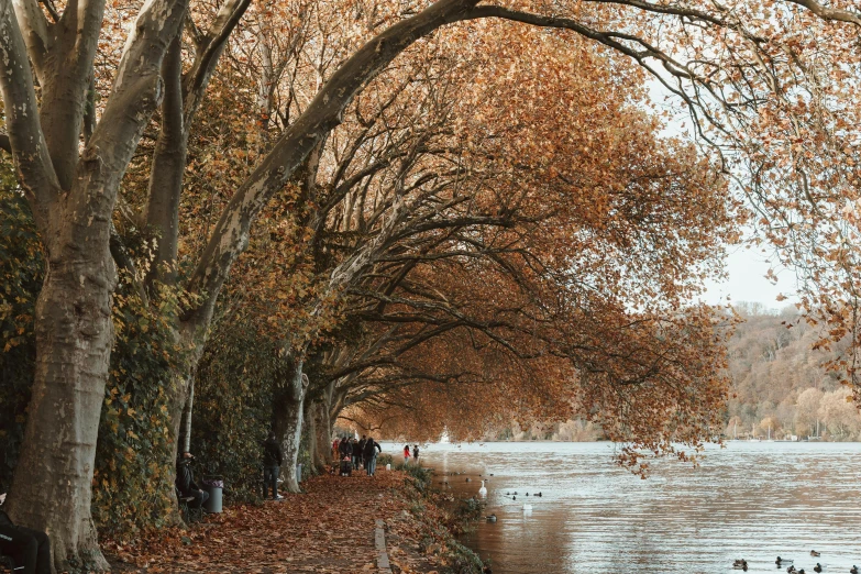 the trees are changing color along with the water