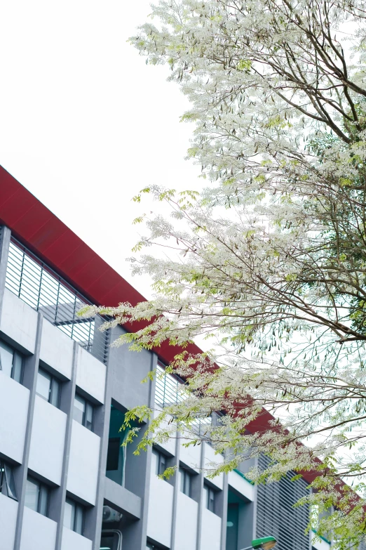 building with white and red roof and trees in front