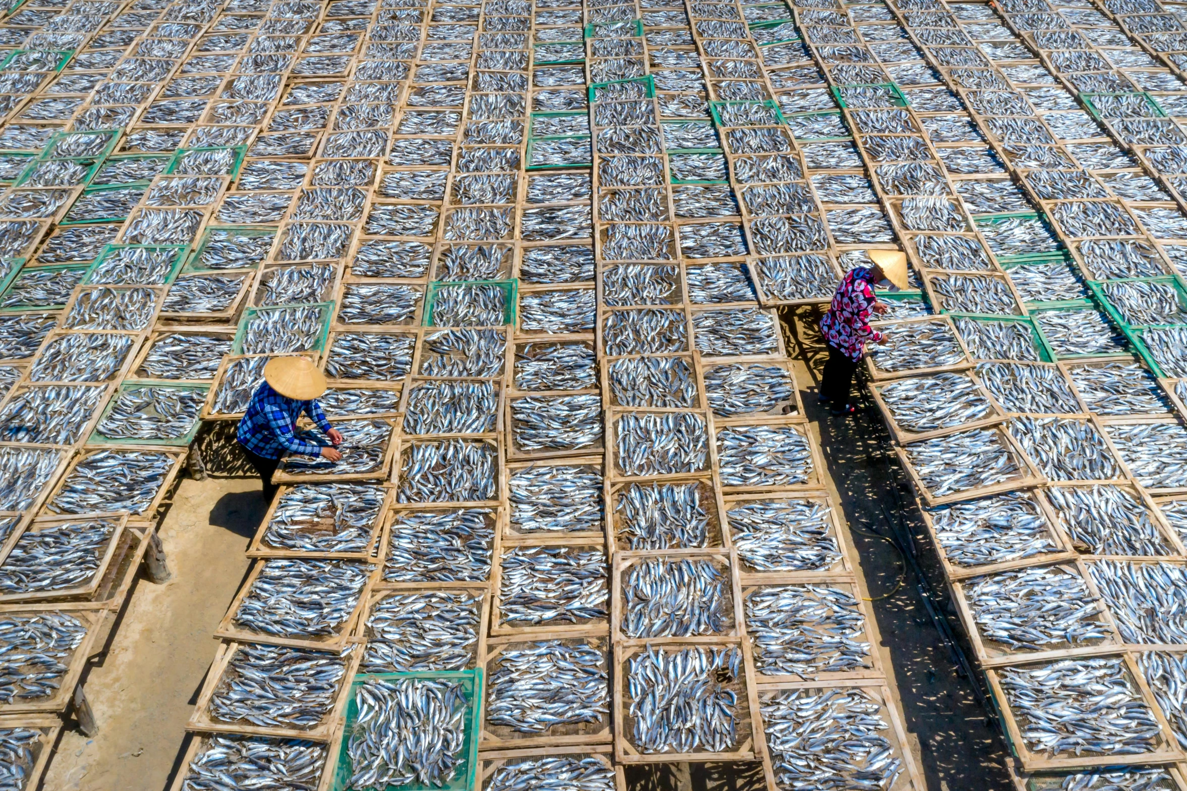 a field of blue glass bottles are stacked up