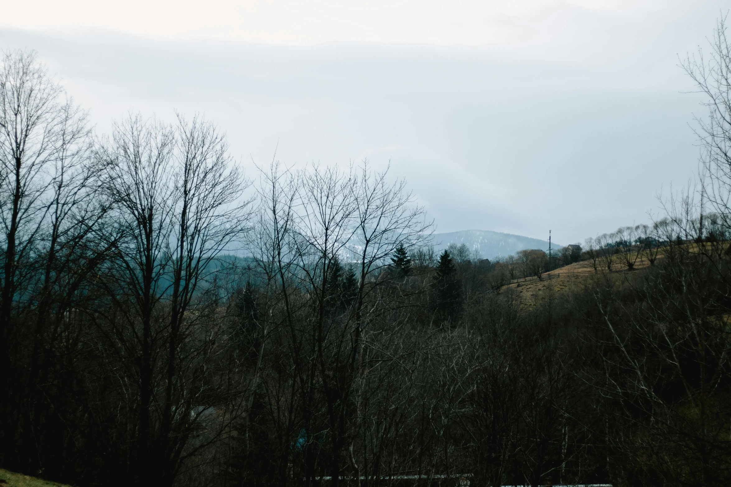 a mountain view shows many bare trees on the hillside