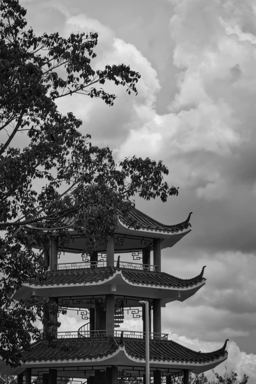 a black and white picture of a pagoda in the middle of a forest