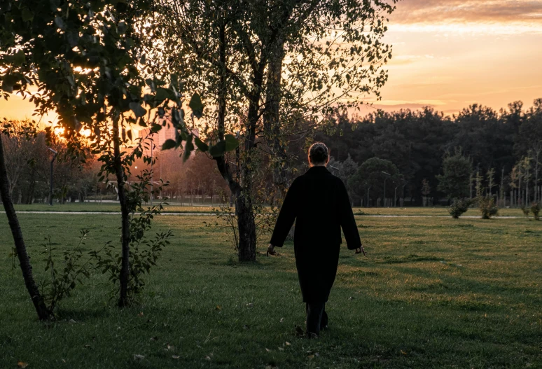 man walking in a field by several trees