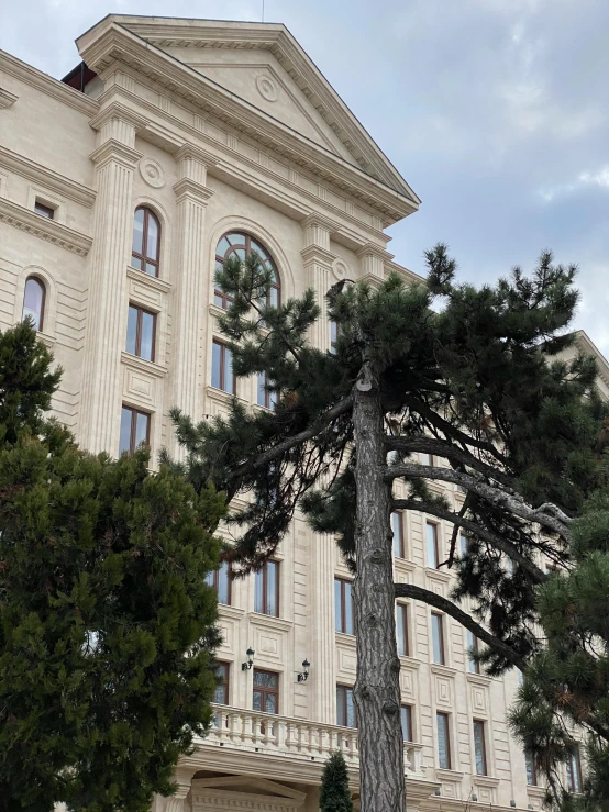 an elaborate stone building with a pine tree outside