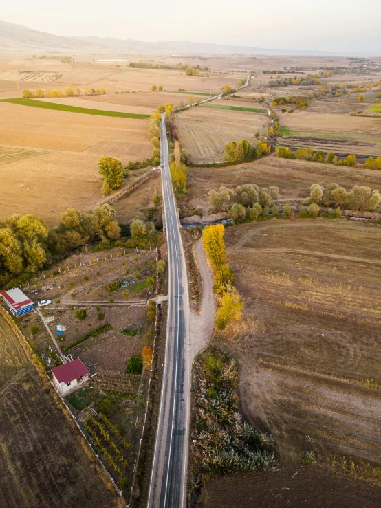 the empty road is surrounded by many trees