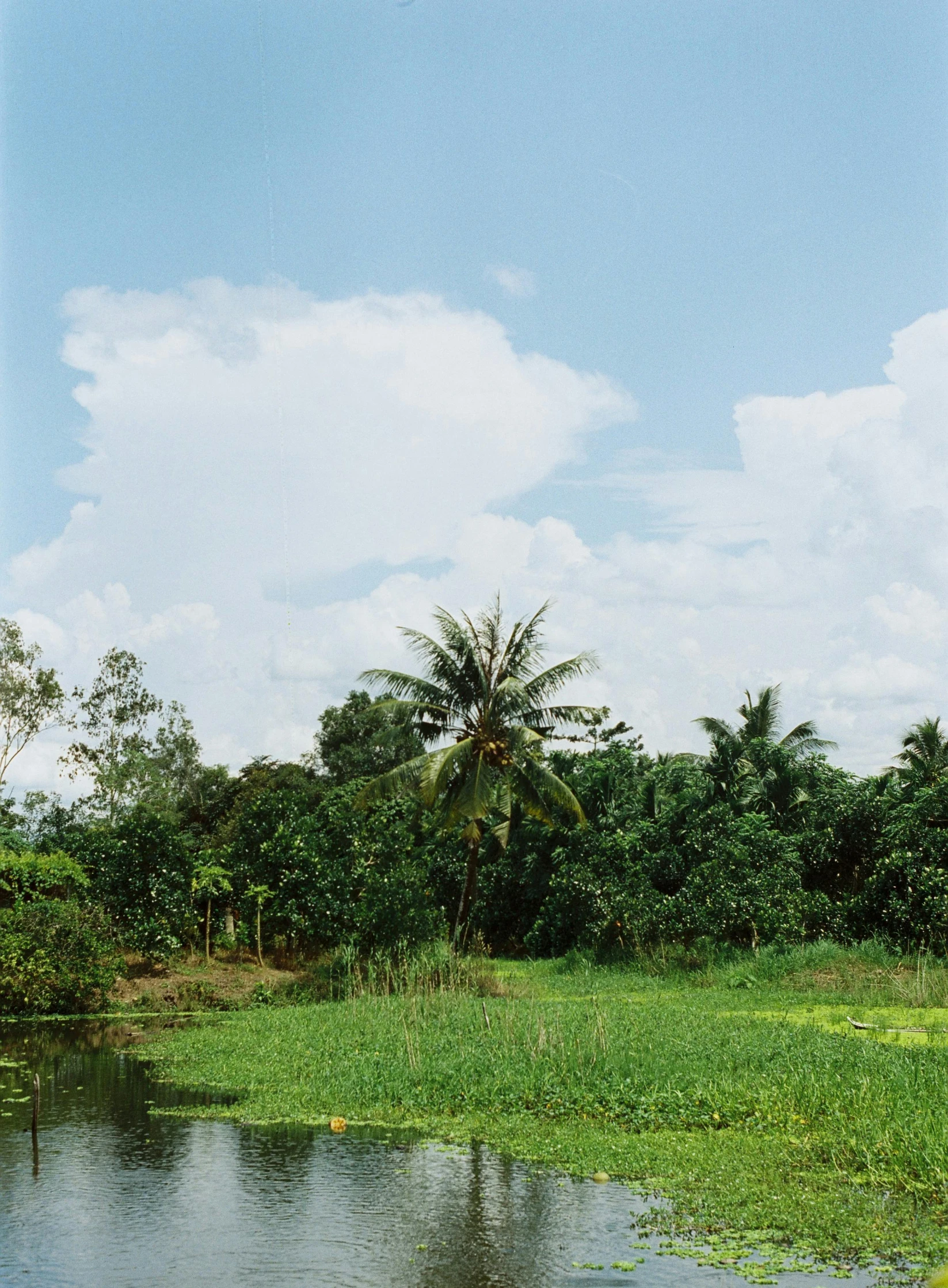 a large river with a tree in the distance