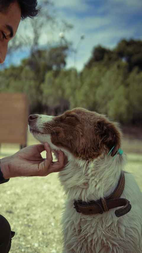 a man is petting a dog's ear with an odd looking 