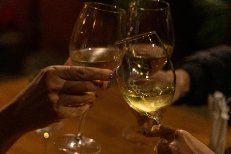 two people toast with wine glasses in each hand