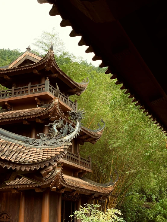 a tall building next to some trees with lots of leaves