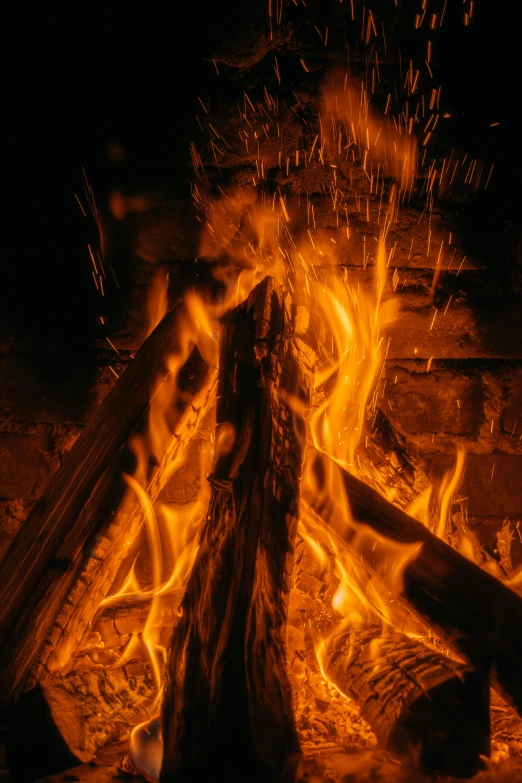 some kind of wood that is burning in some flames