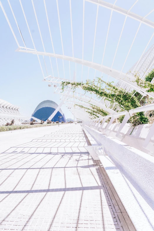 a long covered walkway in the middle of a large building