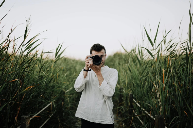 a person takes a pograph of tall grass with a camera